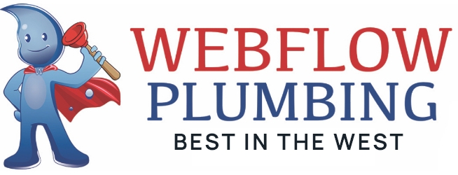 Webflow Plumbing